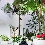 Lejlighed Coccoloba Corralejo