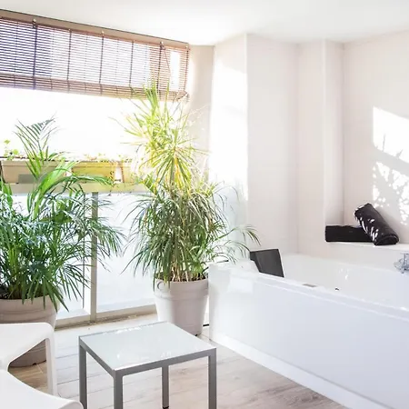 Coccoloba Коральео