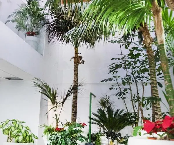 Apartmán Coccoloba Corralejo