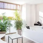 Coccoloba Коральео