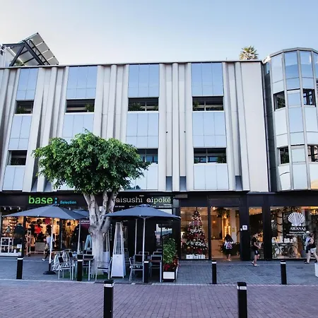 Coccoloba * Corralejo