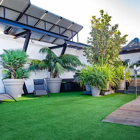 Coccoloba コラレホ