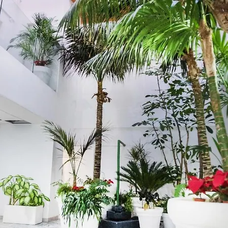 Daire Coccoloba Corralejo