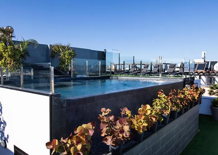 Coccoloba Κοραλέχο