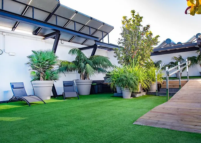 Coccoloba Κοραλέχο