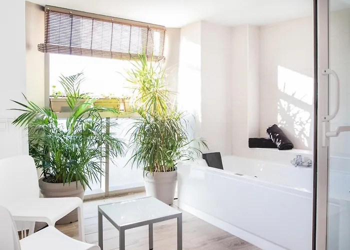 Coccoloba Κοραλέχο